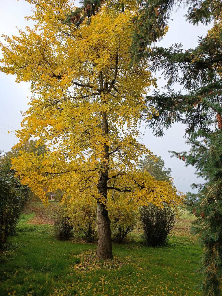 Bretoncelles (61110)