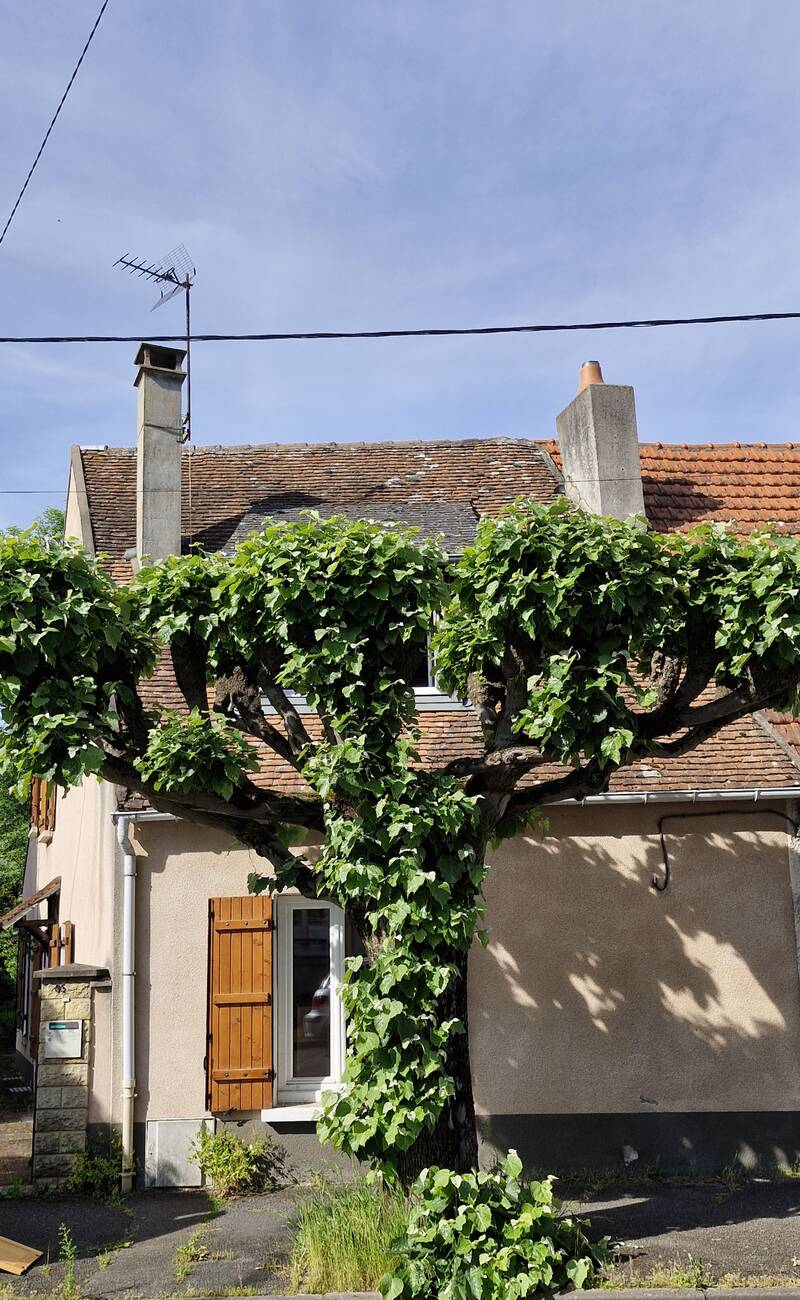 Cosne-Cours-Sur-Loire (58200)