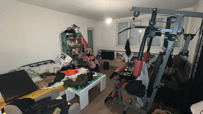 Oullins (69600)