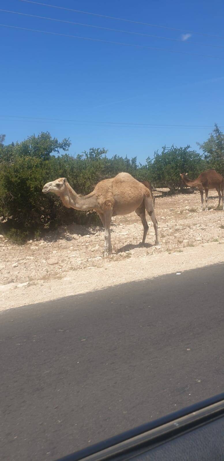 Maroc