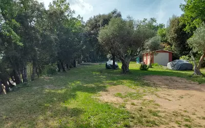 Moissac-Bellevue (83630)