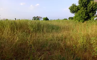 Sénégal