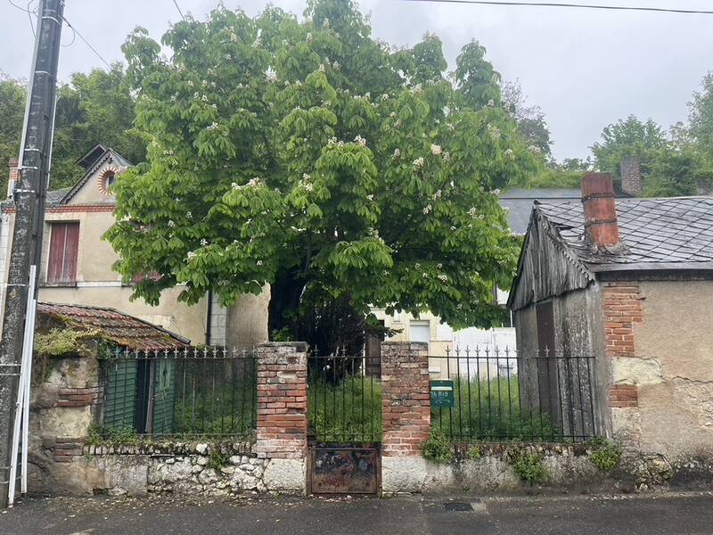 Cangey (37530)