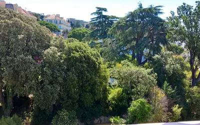 Cannes (06150)
