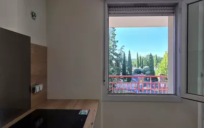 Albi (81000)