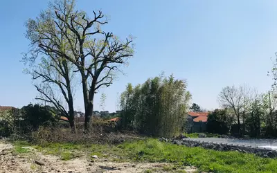 Pessac (33600)