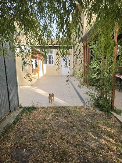 Vente maison 10 pièces Sainte-Eulalie (11170)