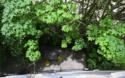 Suresnes (92150)