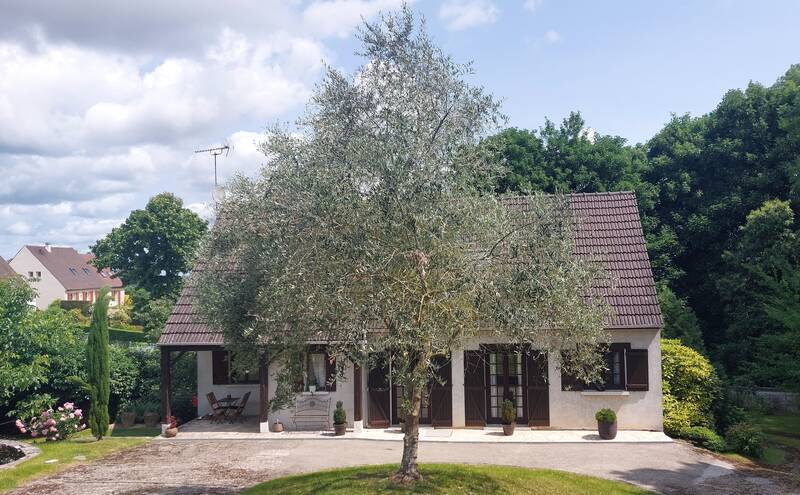 Dammartin-En-Goële (77230)