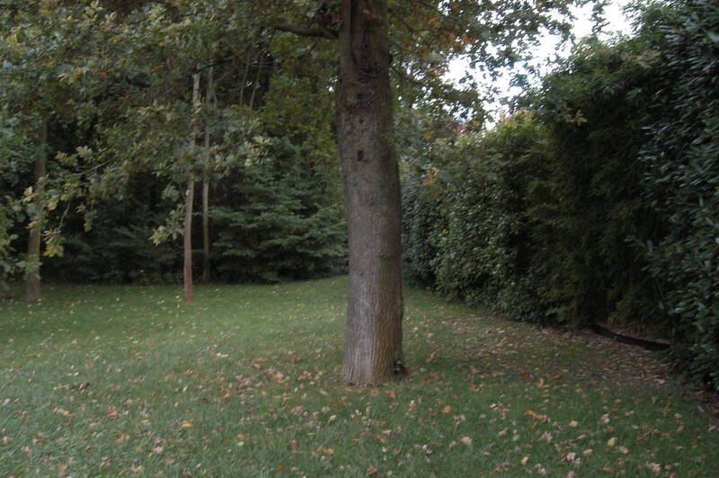 Fegersheim