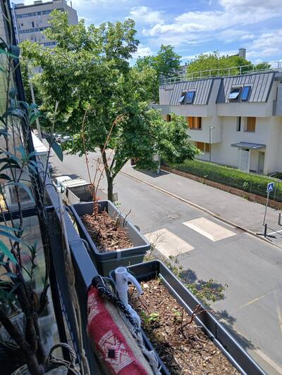 Vente appartement 2 pièces Bagnolet (93170)