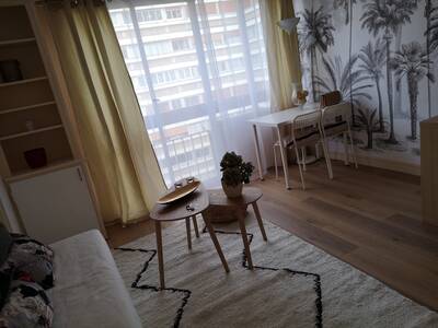 Vente appartement studio Paris 15e