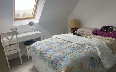 Nantes (44000)