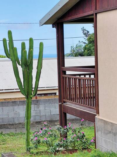 Vente maison 4 pièces Saint-Pierre (974)