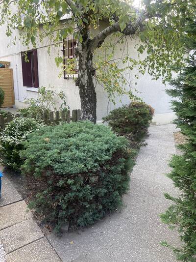 Vente maison 2 pièces Rosny-sous-Bois (93110)