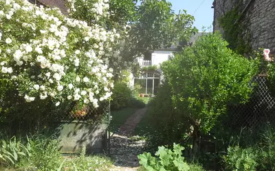 Saint-Maurice-Le-Vieil (89110)