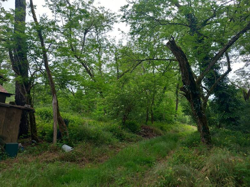 Goualade-Une Affaire À Saisir-Maison À Rénover Entièrement Près De Bazas-