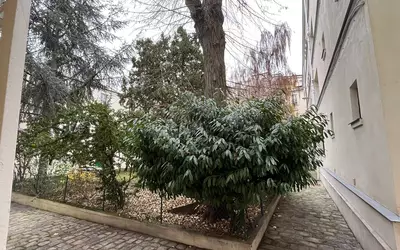 Paris 13E (75013)