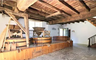 Saint-Pée-Sur-Nivelle (64310)