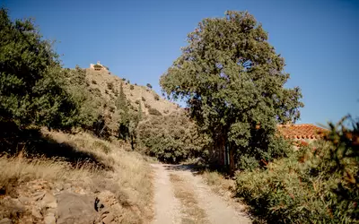 Camélas (66300)