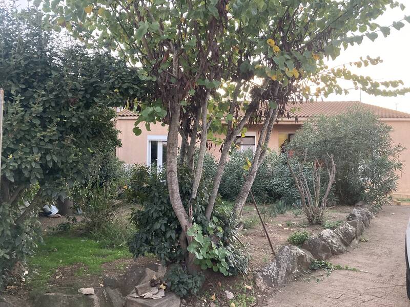 Agde (34300)