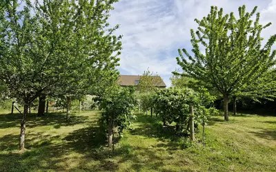 Préfontaines (45490)