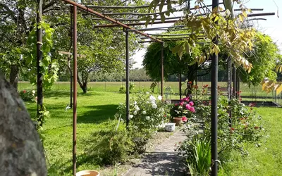 Petit-Bersac (24600)