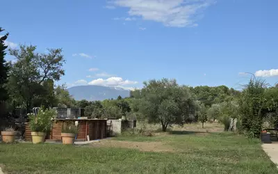 Mazan (84380)
