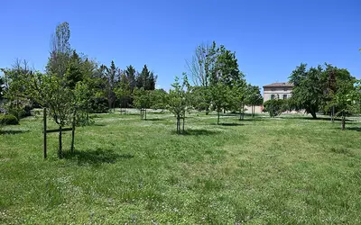 Labastide-De-Lévis (81150)