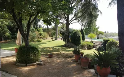 Alès (30100)
