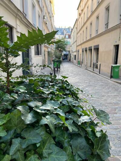 Location appartement studio Paris 11e