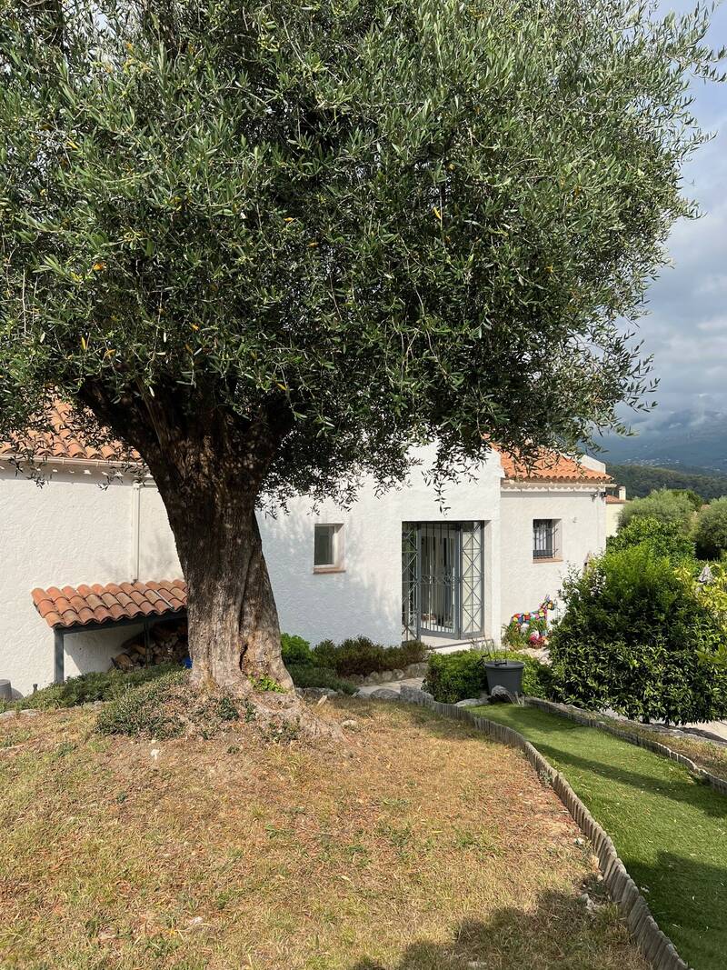 Vence (06140)