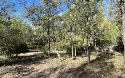 Aujargues (30250)