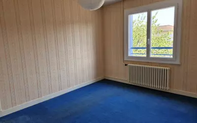 Graulhet (81300)