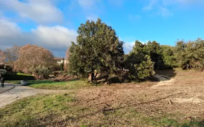 Barjac (30430)