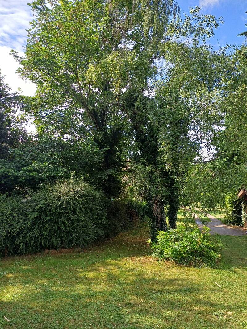Coubron (93470)