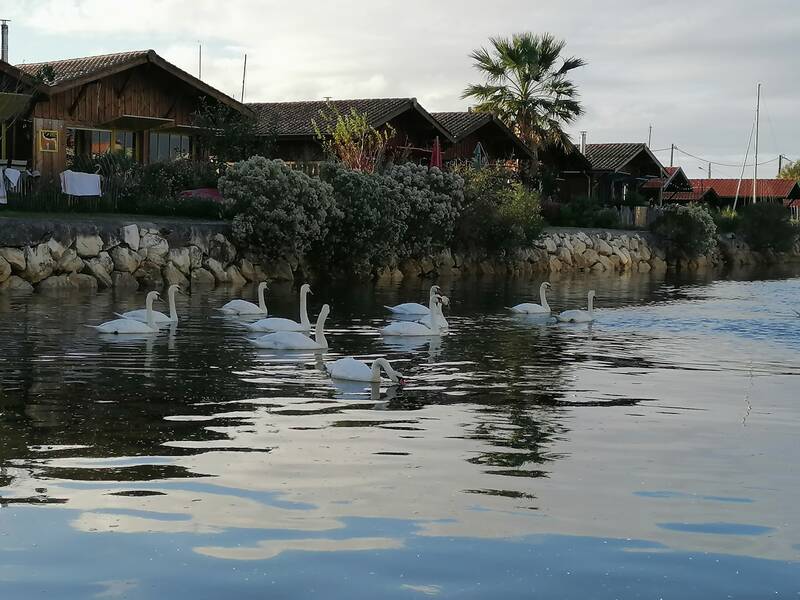 Gujan-Mestras (33470)