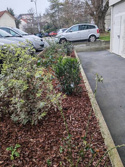 Location appartement 2 pièces Créteil (94000)