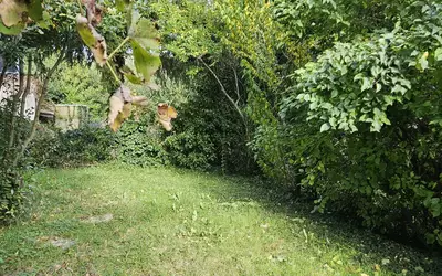Meudon (92190)