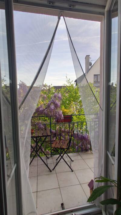 Location appartement 2 pièces Strasbourg (67)