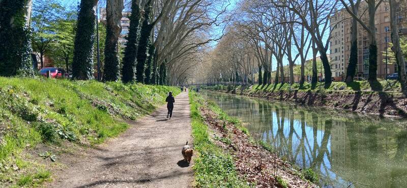 Toulouse (31000)