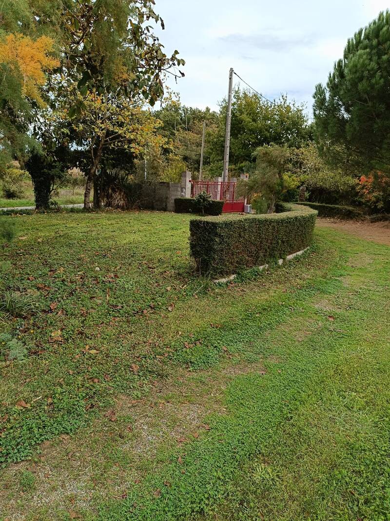 Rieumes (31370)