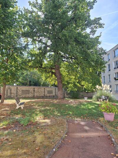 Location appartement studio Le Vésinet (78110)