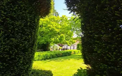 Liencourt (62810)