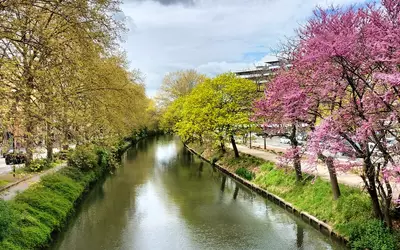 Toulouse (31000)