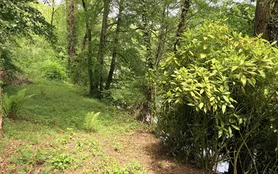 Mirandol-Bourgnounac (81190)