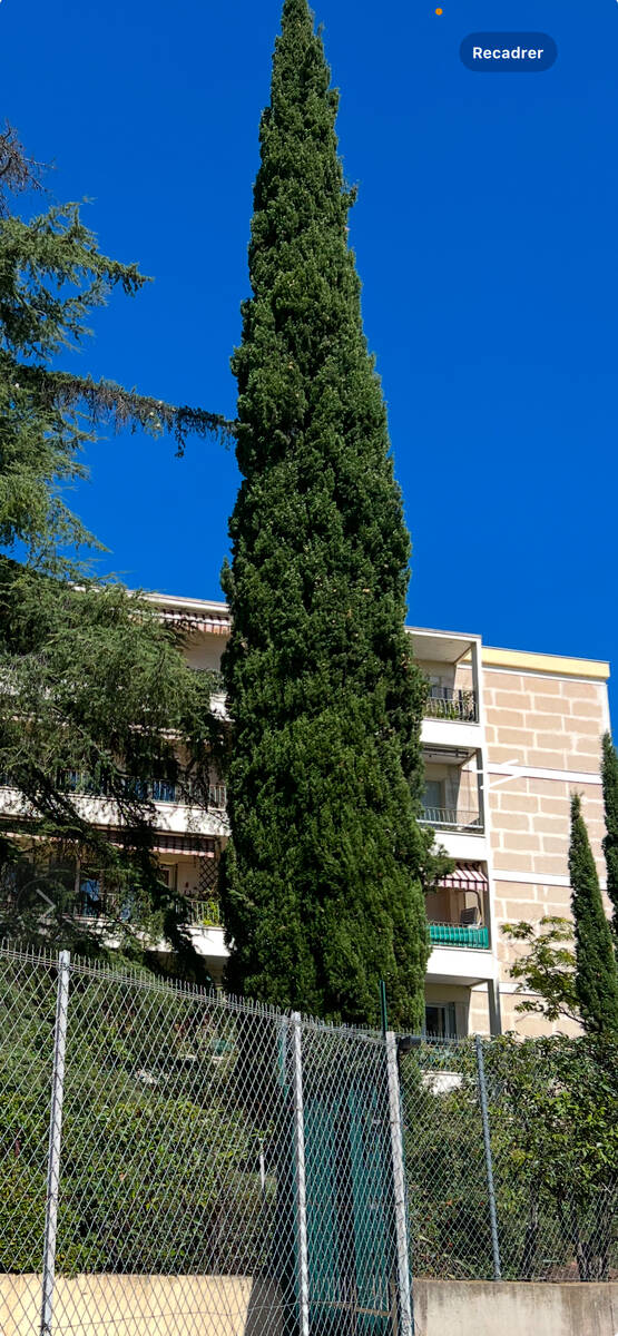 Montpellier (34000)
