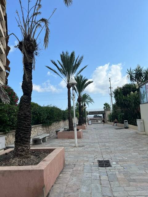 Cannes (06150)