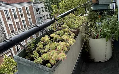 Paris 20E (75020)