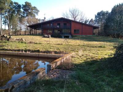 Vente maison 6 pièces Sainte-Eulalie-en-Born (40200)